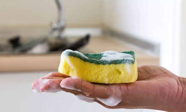 Зачем хранить кухонные губки в холодильнике: интересный трюк - о нем знают только самые продвинутые хозяйки